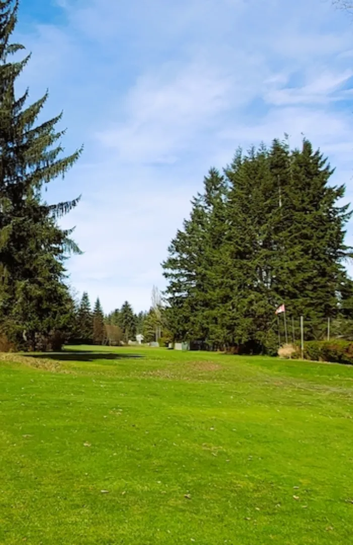 saratoga 08