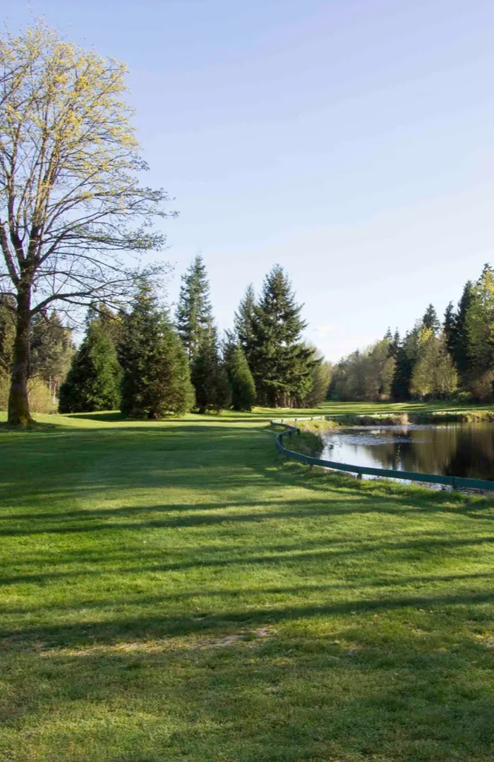 saratoga 10